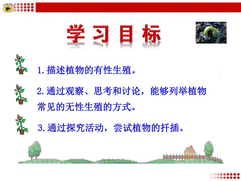 第一节植物的生殖.ppt_第3页