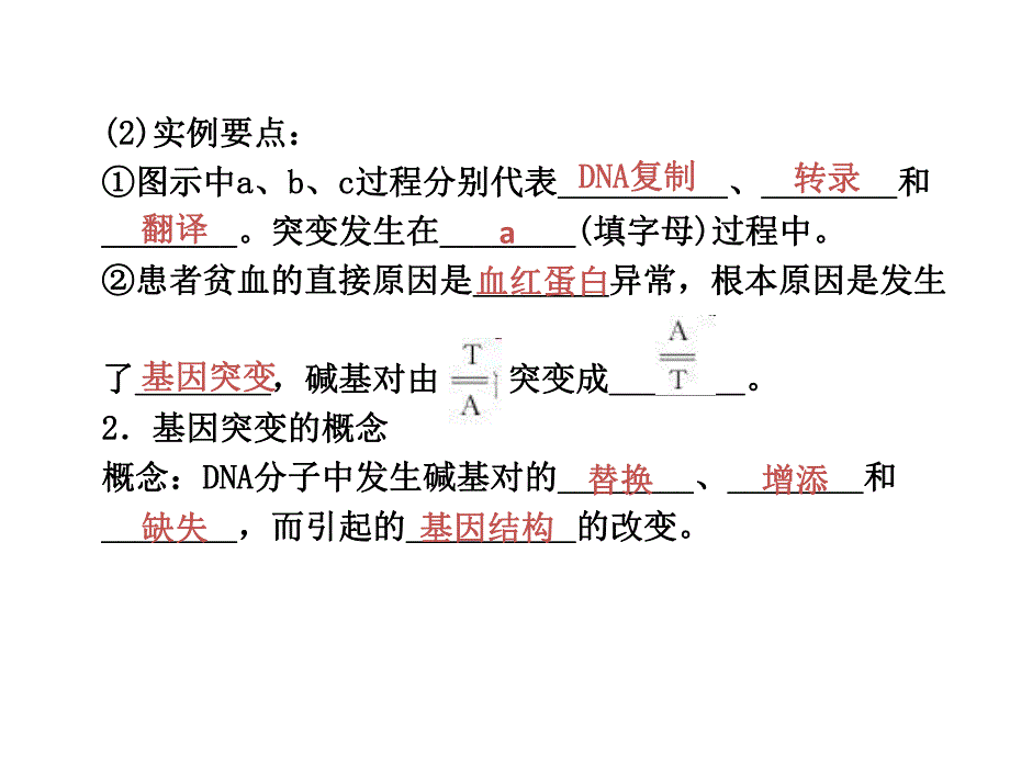 第一节基因突变和基因重组.pptx_第3页