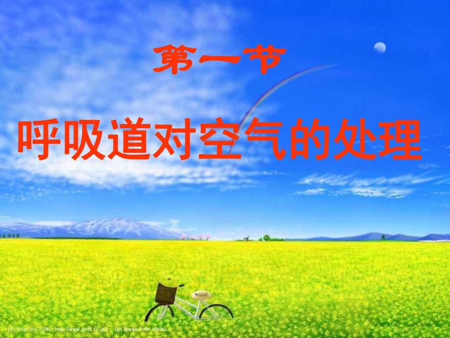 第一节呼吸道对空气的处理名师编辑PPT课件.ppt_第1页