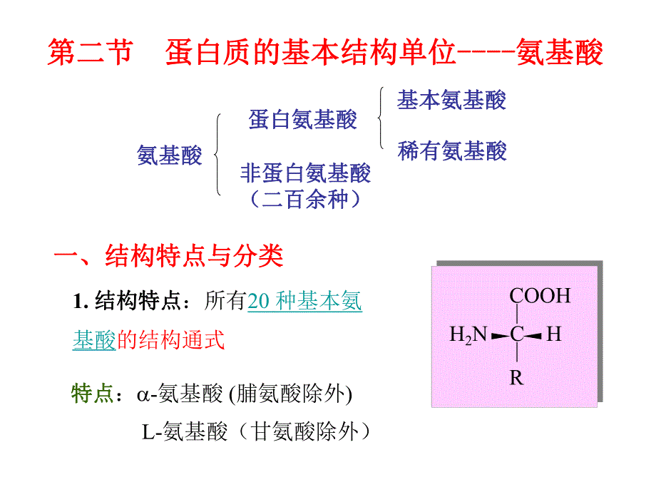 第一部分蛋白质名师编辑PPT课件.ppt_第3页