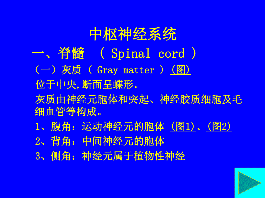 第七章神经系统.ppt_第3页