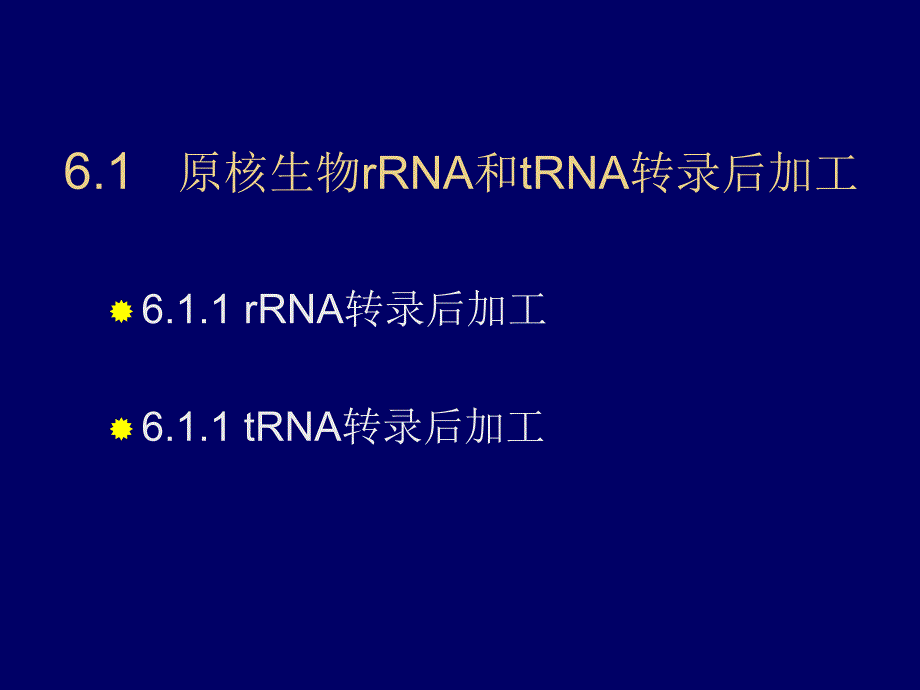 第6章转录后加工.ppt_第2页