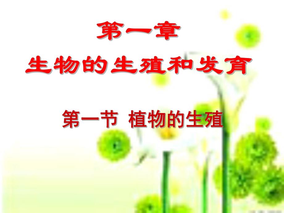 第一节 植物的生殖.ppt_第2页