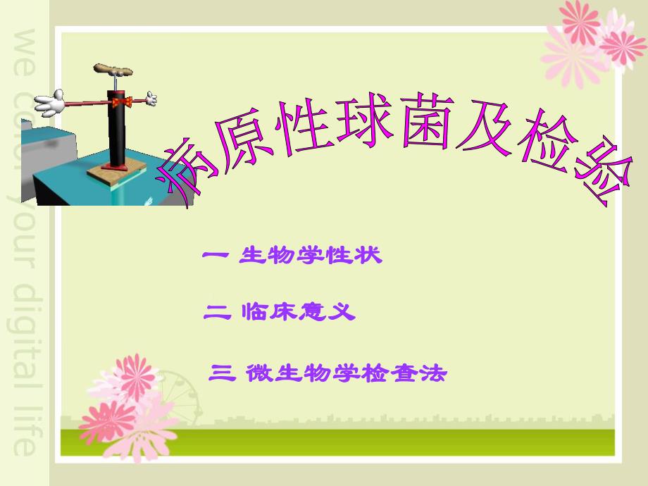 第七章球菌.ppt_第3页