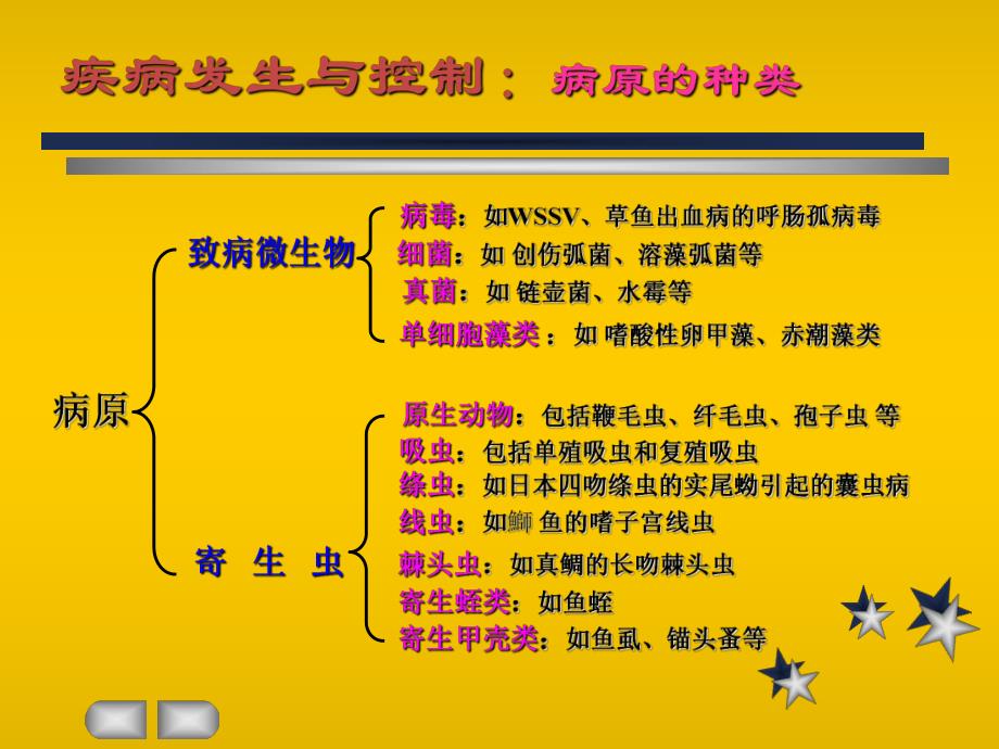 第一节水产动物疾病发生的原因一病因的定义病因就是疾名师编辑PPT课件.ppt_第2页