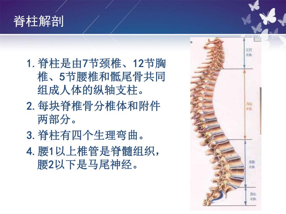 5月脊柱骨折的护理.ppt_第2页