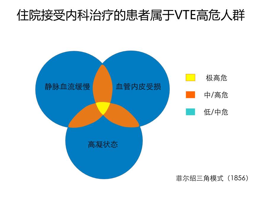 内科住院患者静脉血栓栓塞症预防中国专家建议.ppt_第3页