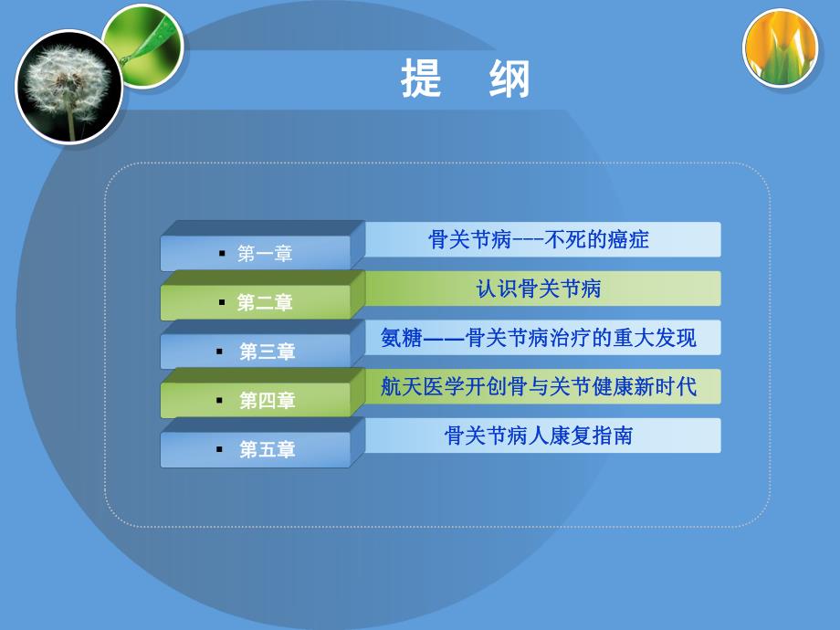 氨糖应用与骨关节健康.ppt1.ppt_第2页