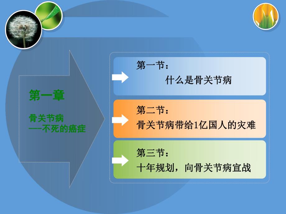 氨糖应用与骨关节健康.ppt1.ppt_第3页