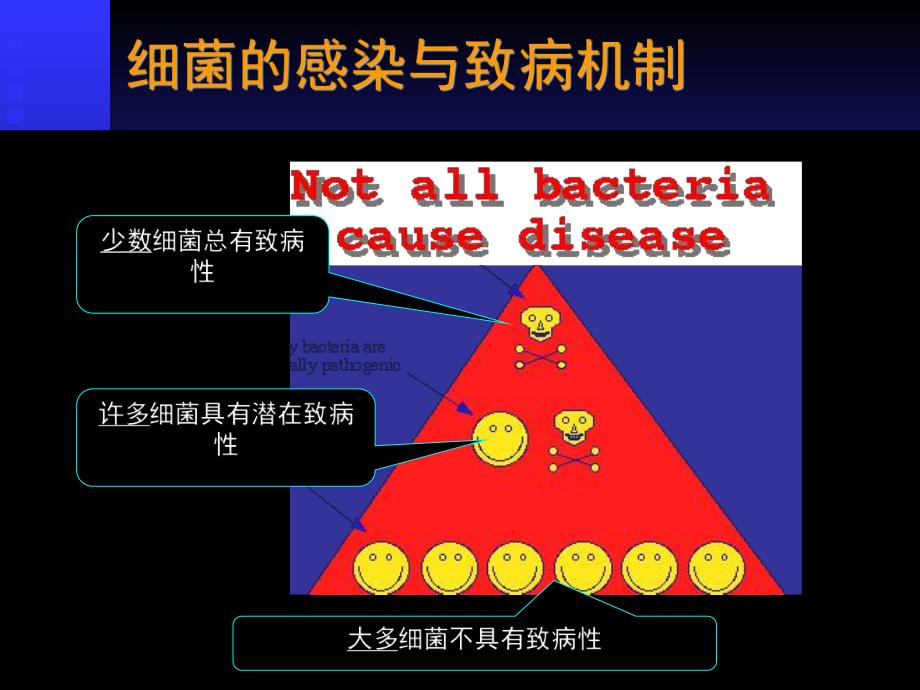 4细菌感染15.ppt_第2页