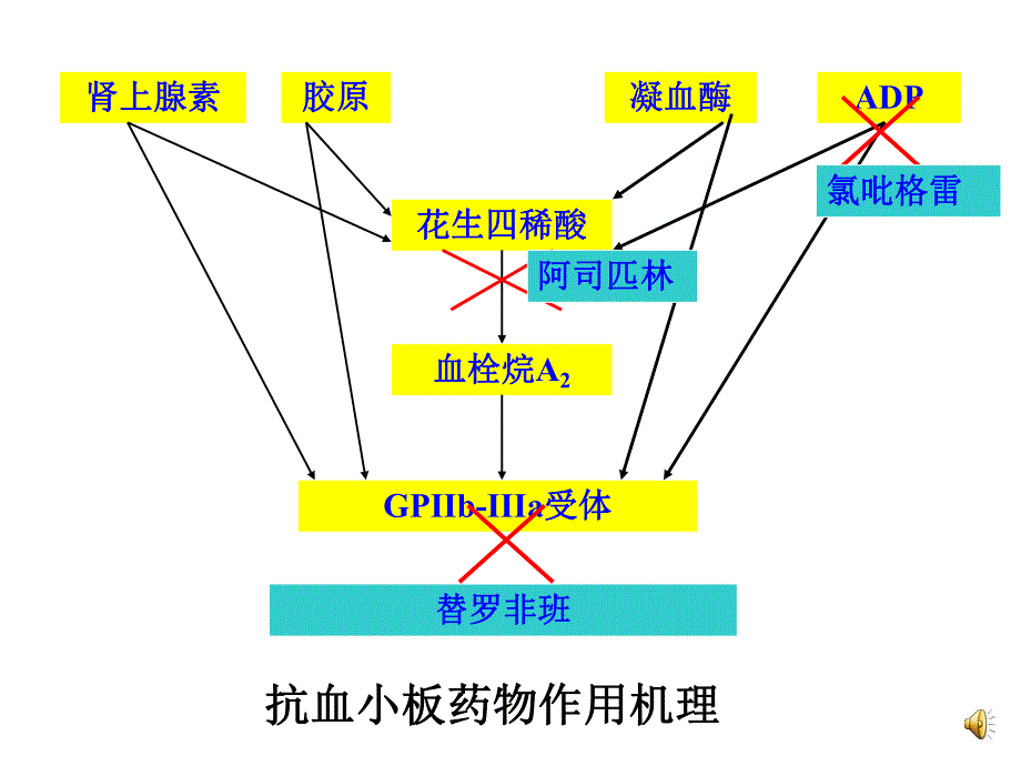 抗血栓药物的临床应用与案例分析.ppt_第3页