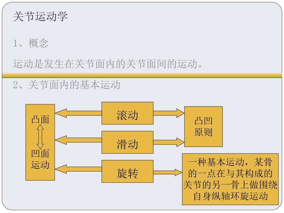 关节运动学(肩关节).ppt_第3页