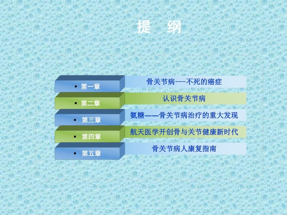 氨糖与骨关节健康.ppt_第2页