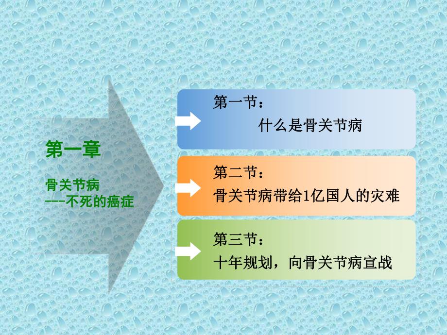 氨糖与骨关节健康.ppt_第3页