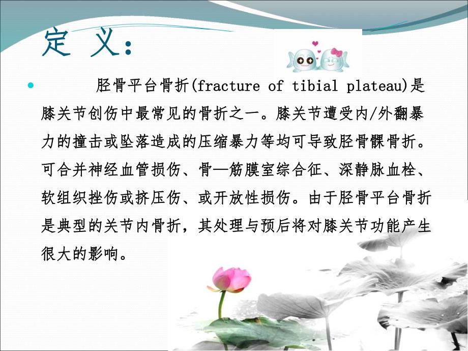 医学ppt胫骨平台骨折的护理.ppt_第3页