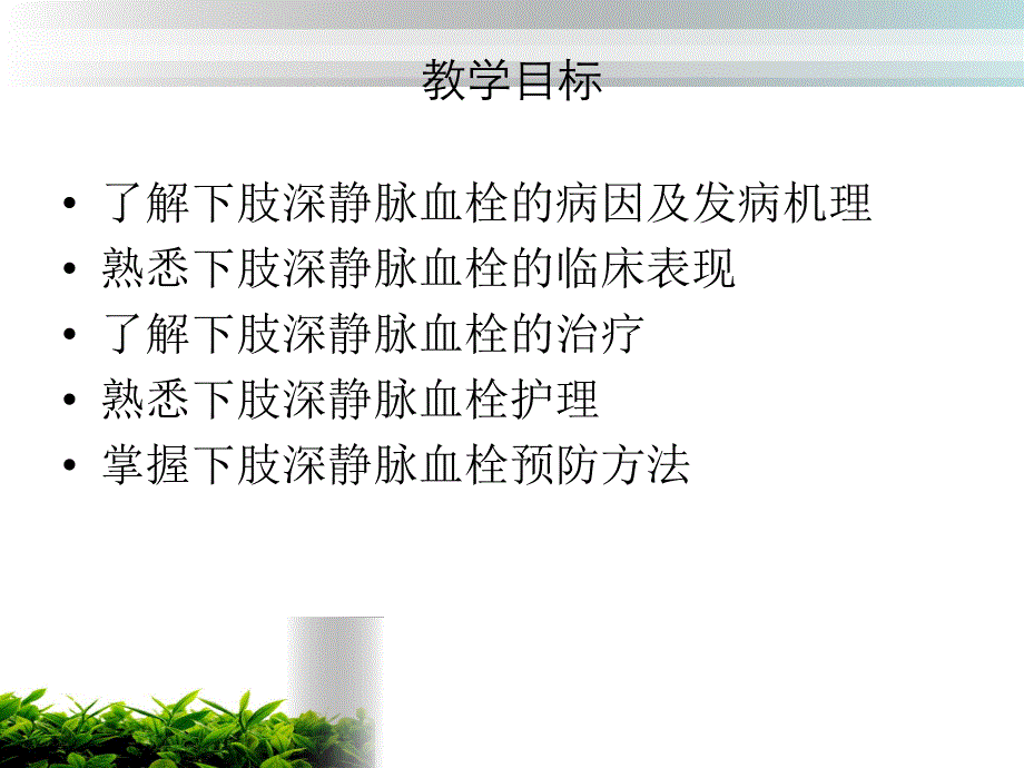 下肢深静脉血栓的护理.ppt_第3页