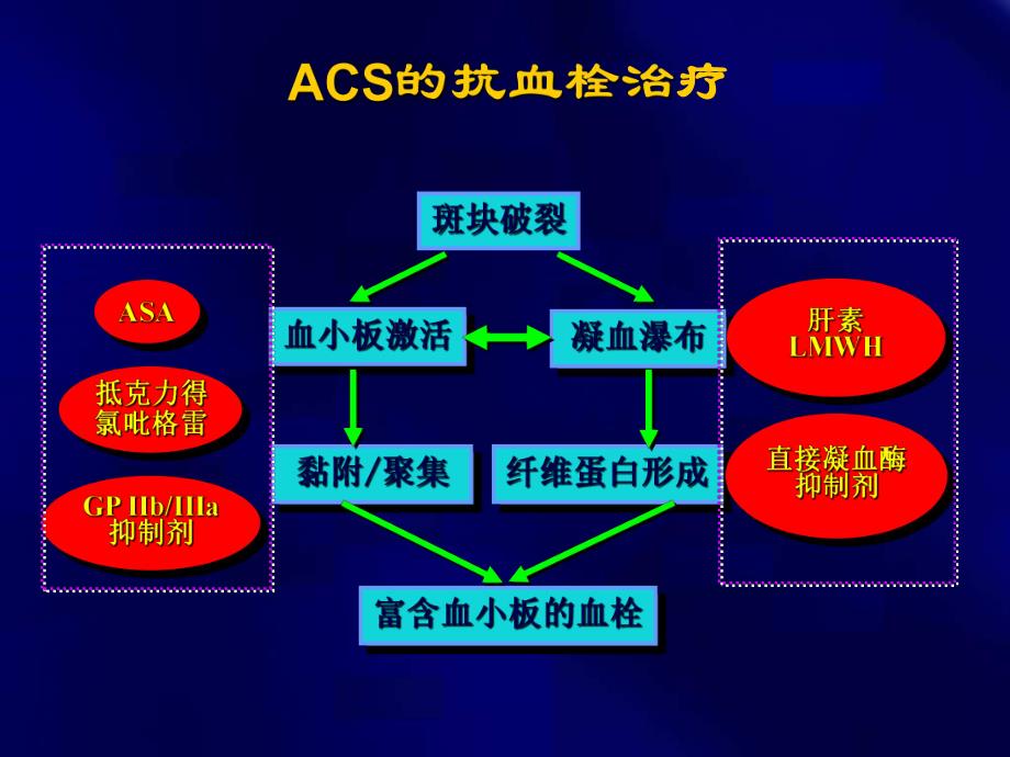 ACS更新指南中的抗栓治疗.ppt_第3页