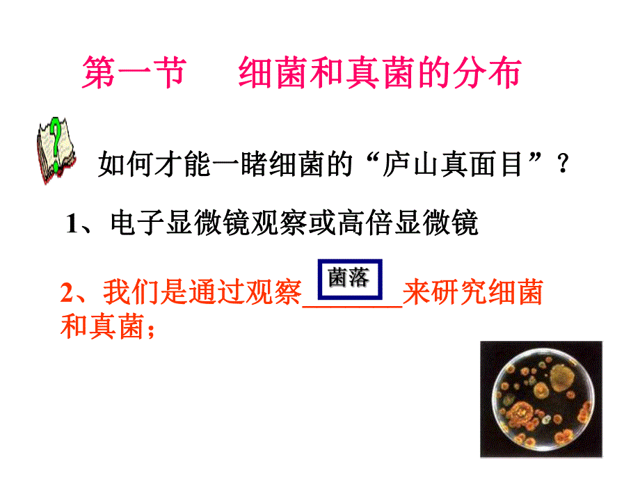 第一节细菌和真菌的分布.ppt.ppt_第3页