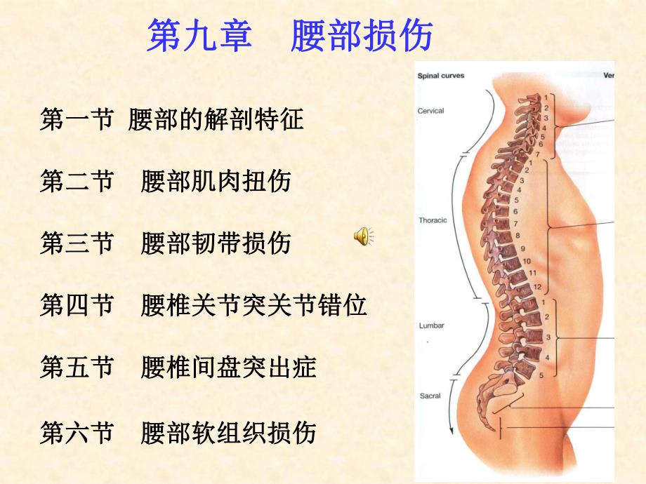 第九章腰部损伤.ppt_第1页