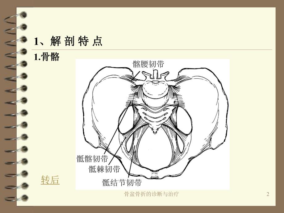 骨盆骨折的诊断与治疗.ppt_第2页