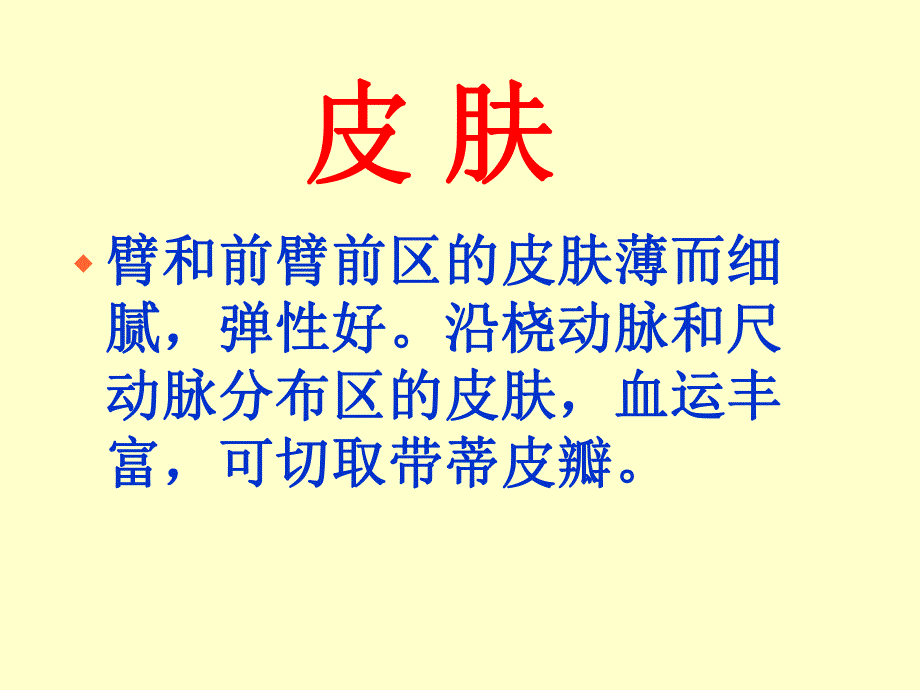 臂、肘和前臂前区.ppt_第3页