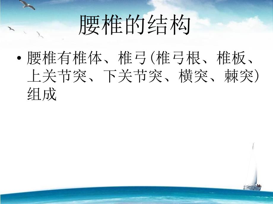 腰椎骨折护理讲课.ppt_第3页