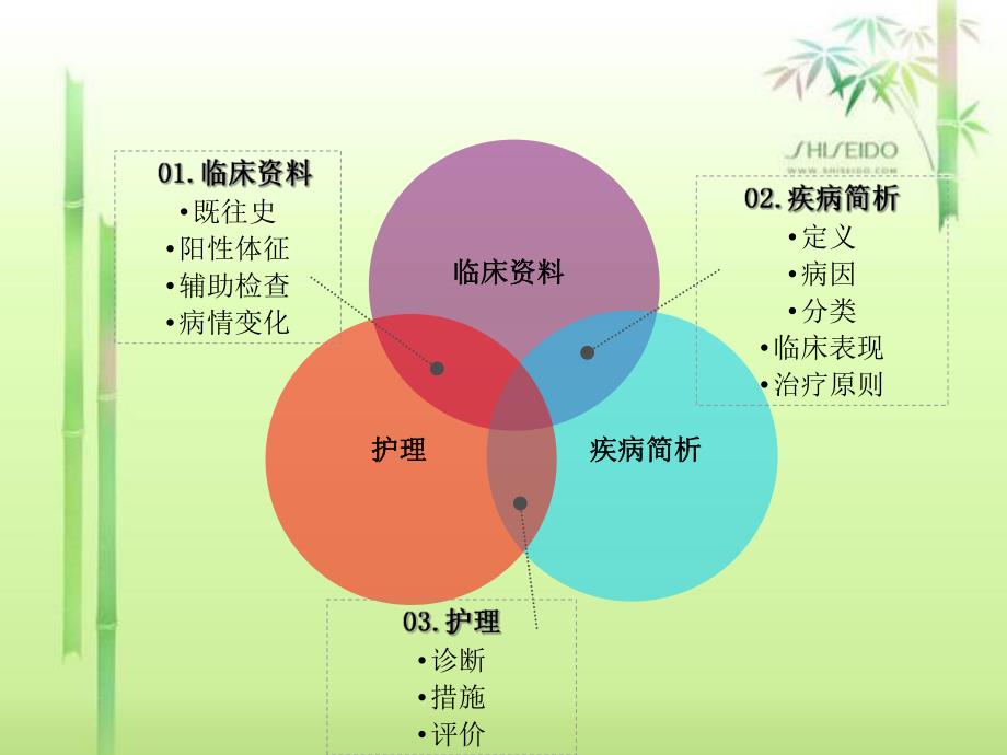 股骨颈骨折护理查房.ppt_第2页