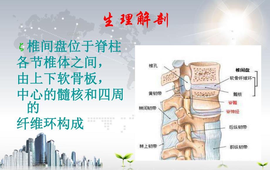 腰椎间盘突出症护理.ppt_第2页