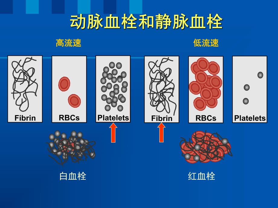 血栓防治新证据和新指南.ppt_第3页