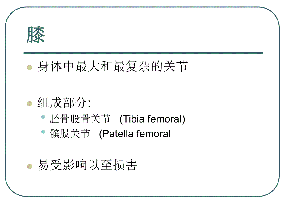 膝关节解剖.ppt.ppt_第2页