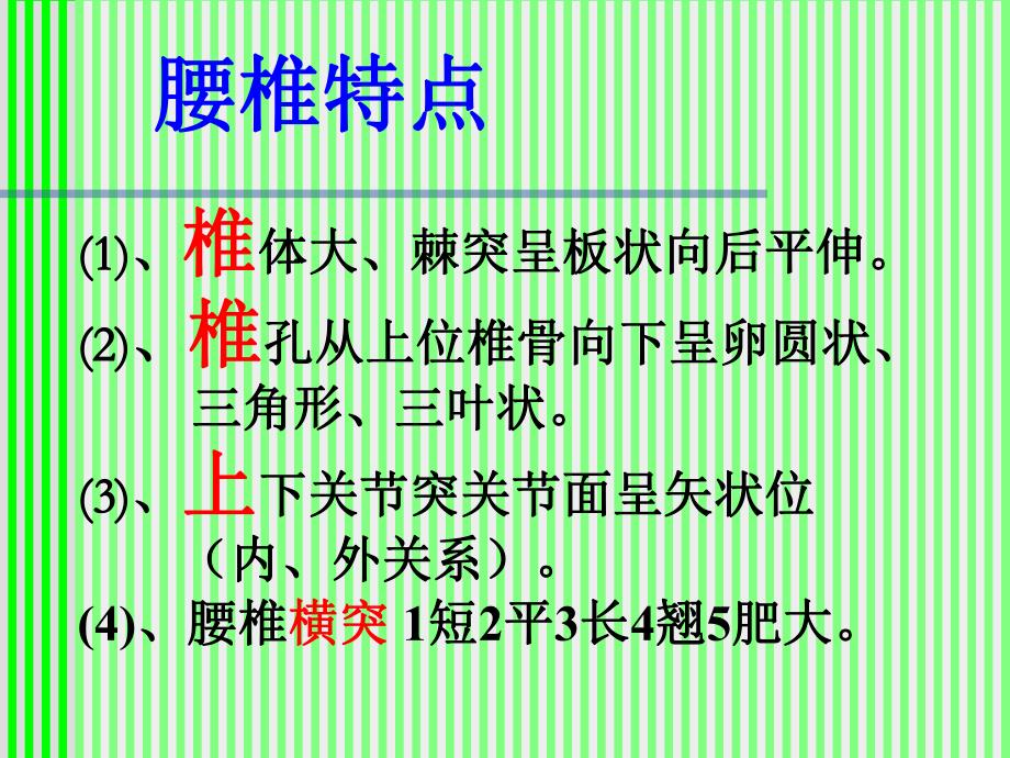 腰椎解剖应用.ppt_第2页