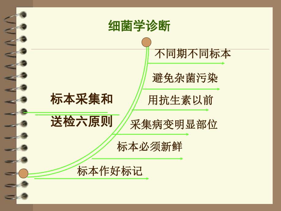 细菌的检查方法.ppt_第1页