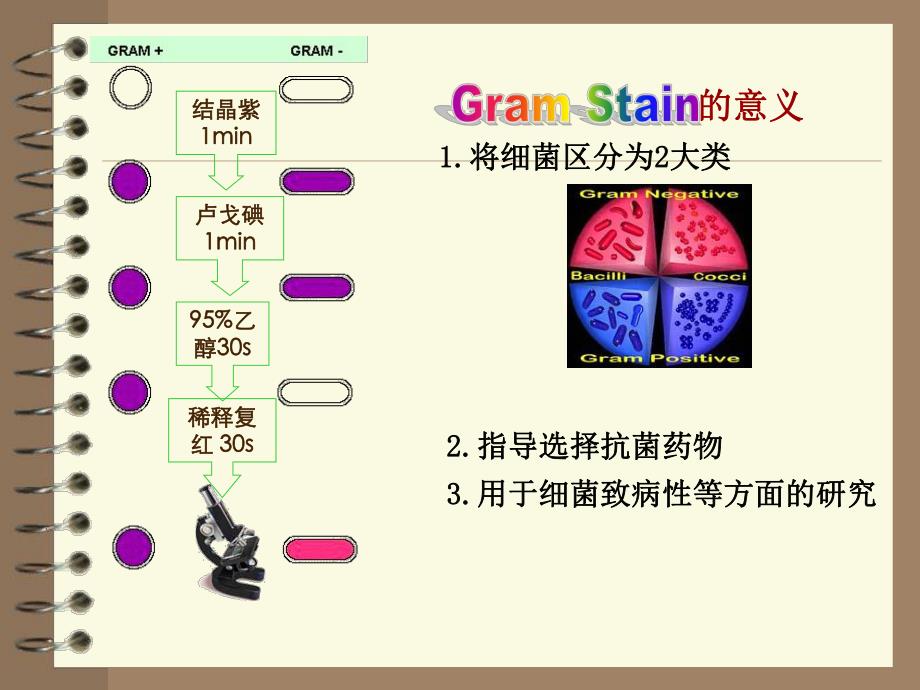 细菌的检查方法.ppt_第3页