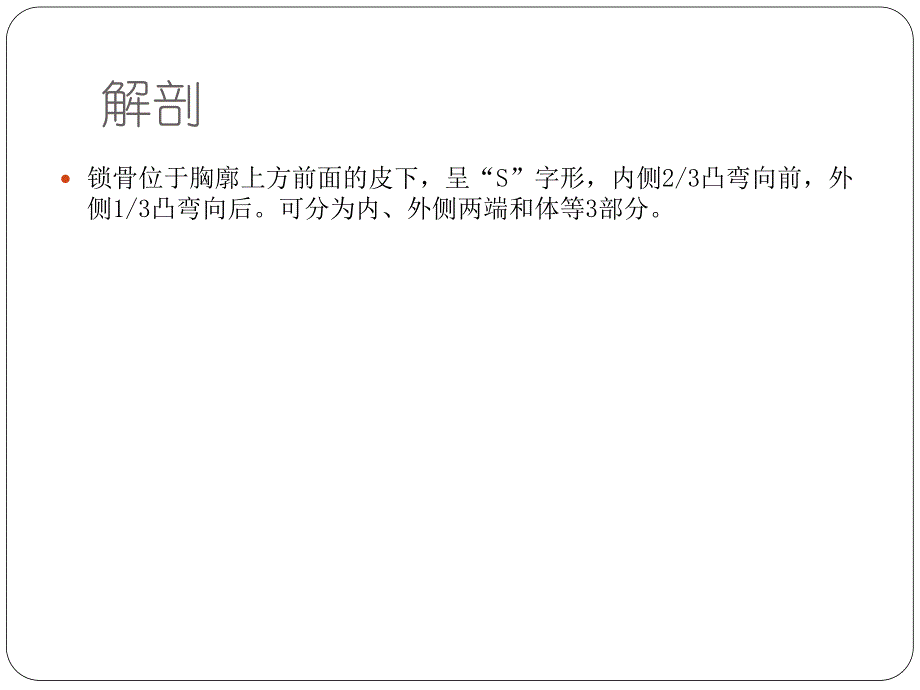 锁骨骨折[精华].ppt_第2页