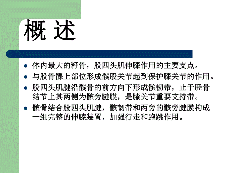 髌骨骨折护理.ppt.ppt_第2页