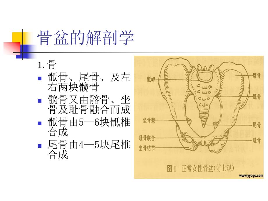 骨盆骨折病人的护理管理.ppt_第2页