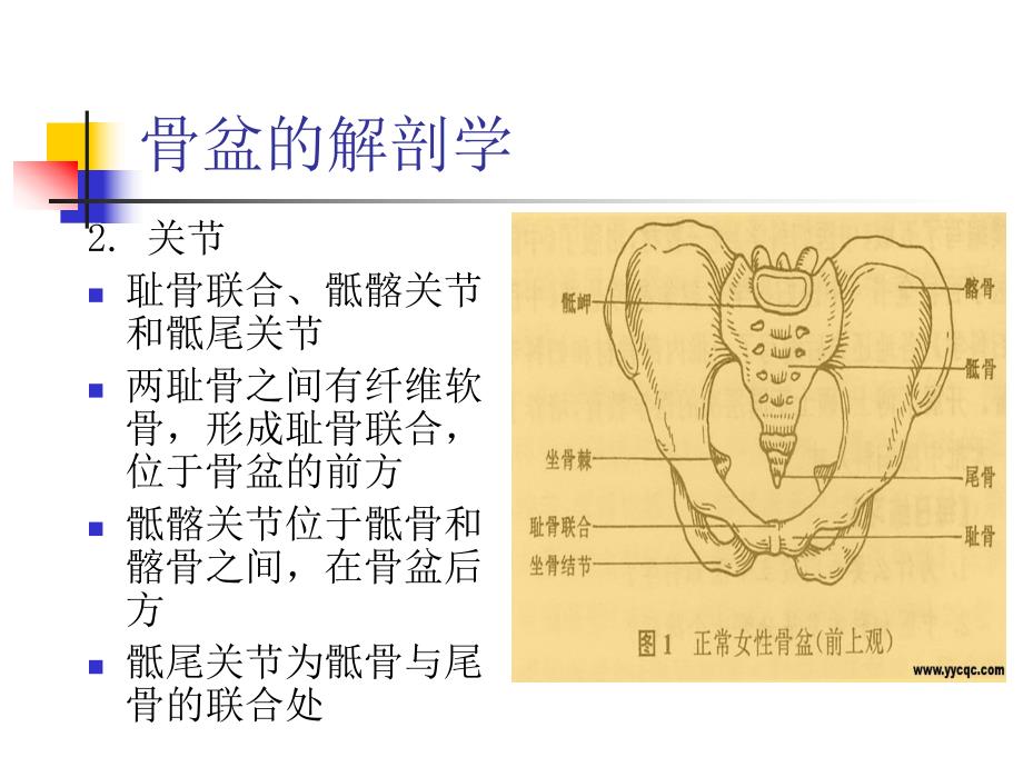 骨盆骨折病人的护理管理.ppt_第3页