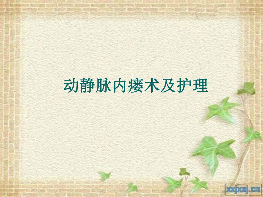 动静脉内瘘及护理讲座.ppt_第1页