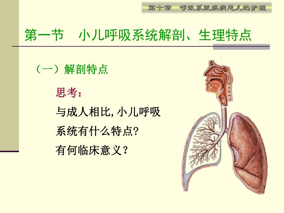 呼吸系统疾病患儿的护理.ppt_第3页