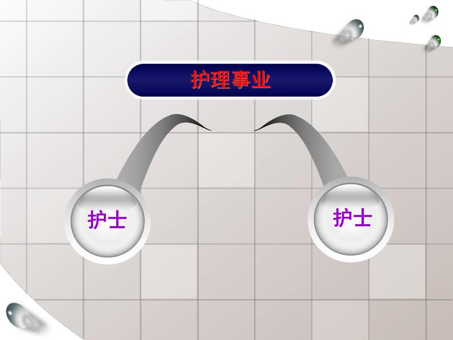 建立优质护理服务团队培训.ppt_第2页