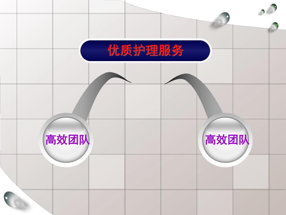 建立优质护理服务团队培训.ppt_第3页