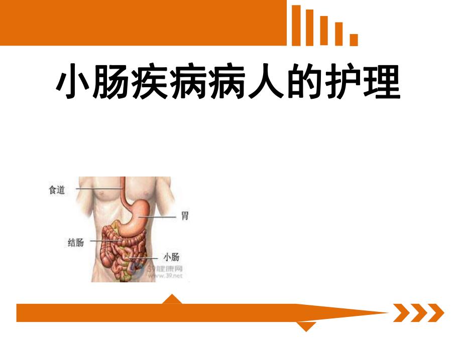 外科小肠疾病病人的护理.ppt_第1页