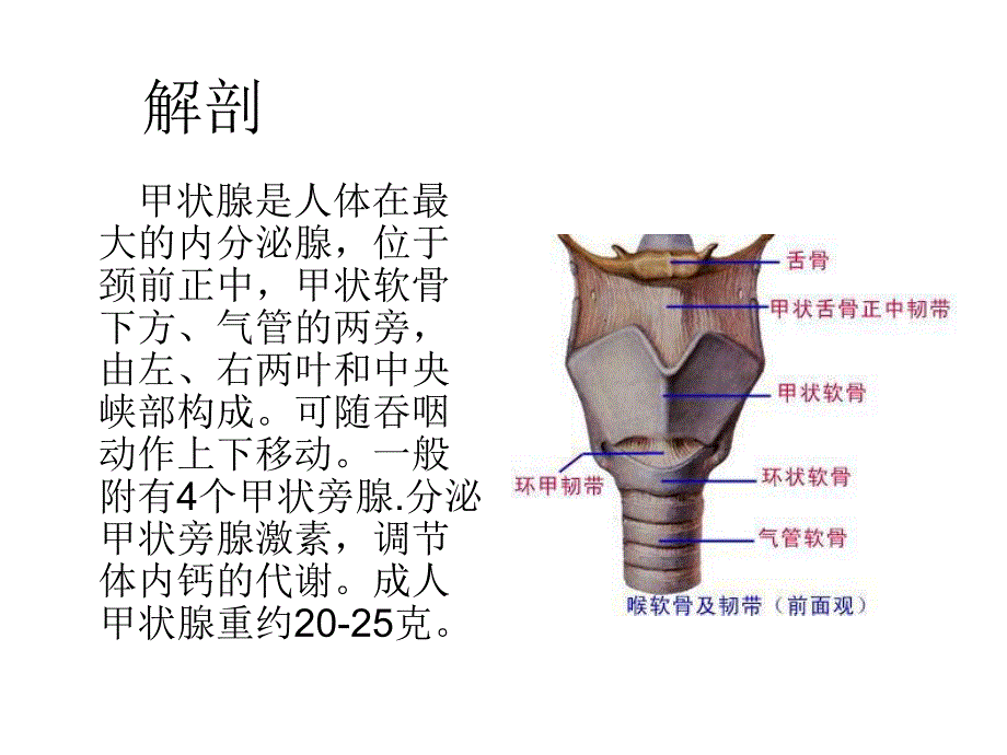 十二章 颈部疾病患者的护理.ppt_第3页