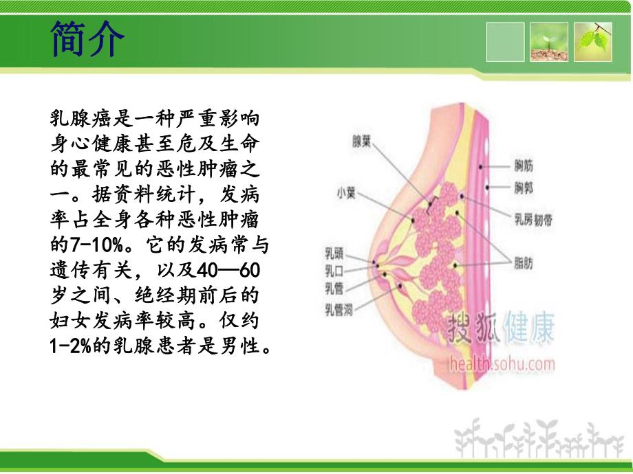 乳腺癌患者护理查房.ppt_第2页