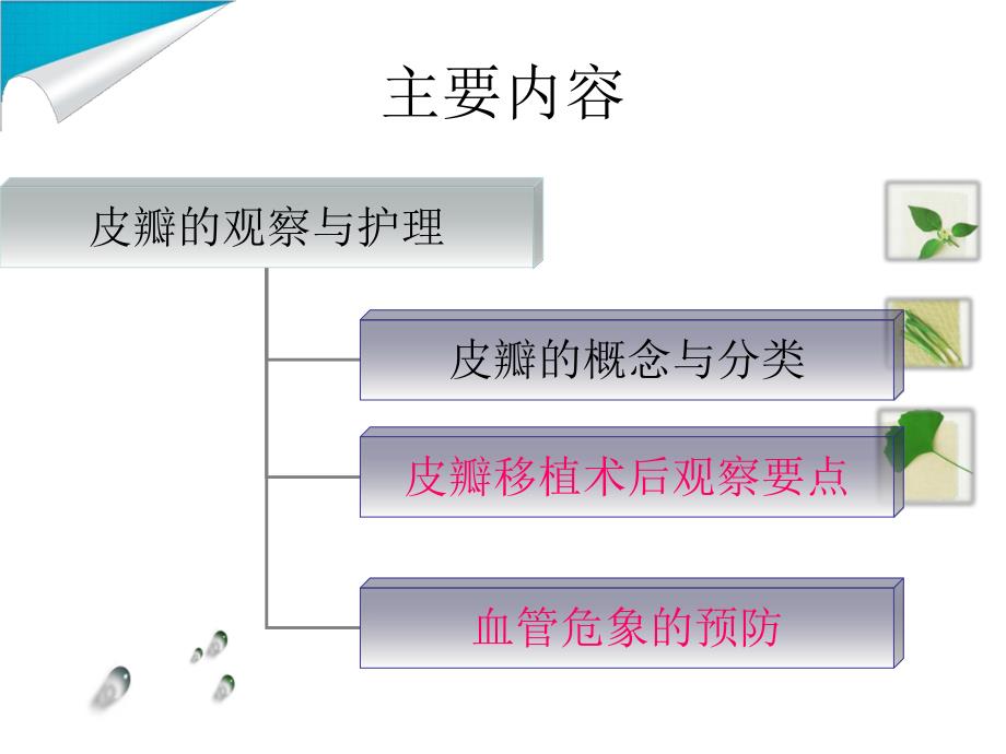 皮瓣的观察与护理.ppt_第2页