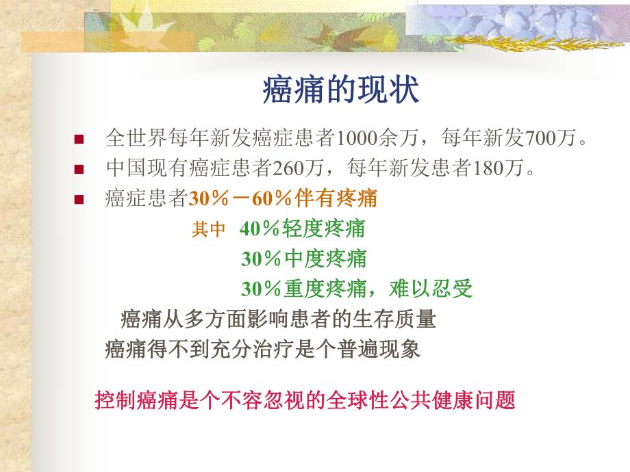 癌痛的评估及护理.ppt_第2页