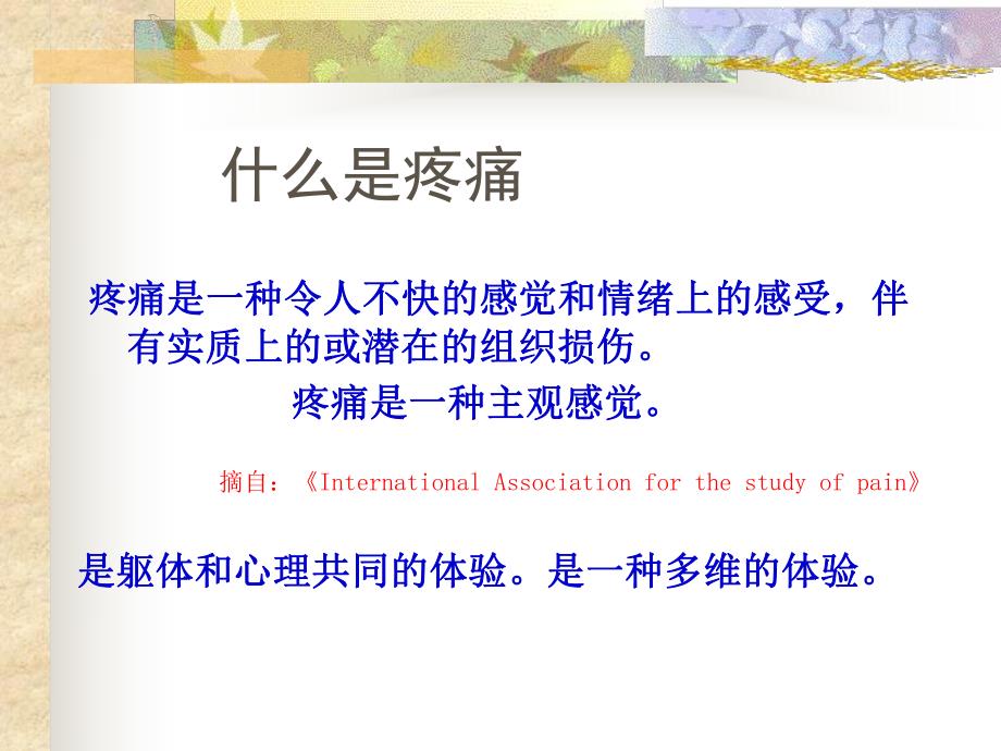 癌痛的评估及护理.ppt_第3页