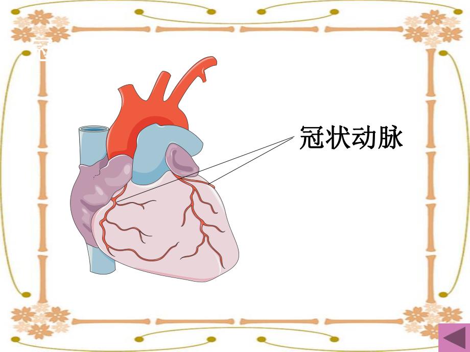 冠心病护理查房.ppt_第2页