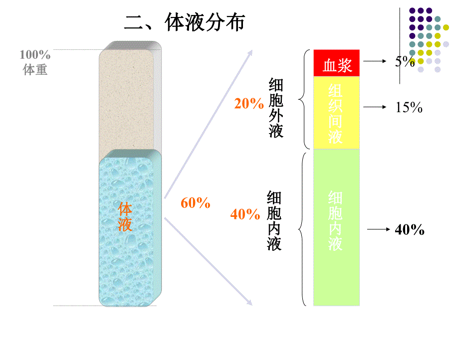 低血容量性休克病人的护理.ppt_第3页