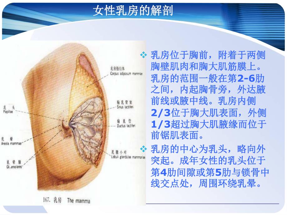 乳腺癌改良根治术护理配合.ppt_第3页